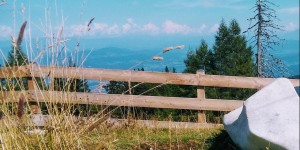 Beitragsbild des Blogbeitrags Naturpark Dobratsch – Herbstausflug