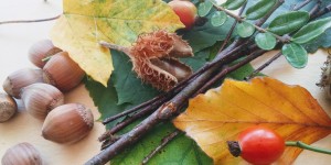 Beitragsbild des Blogbeitrags Herbstbasteln 