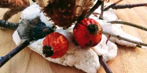 Beitragsbild des Blogbeitrags Hallo Igel