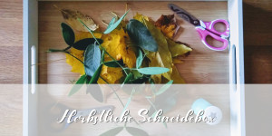 Beitragsbild des Blogbeitrags Herbstbeschäftigung für Minimonster: Die Schneidebox