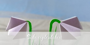 Beitragsbild des Blogbeitrags Schneeglöckchen am Fenster