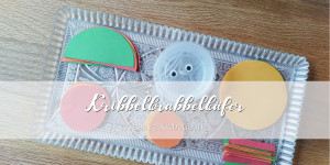 Beitragsbild des Blogbeitrags Kribbelkrabbelkäfer