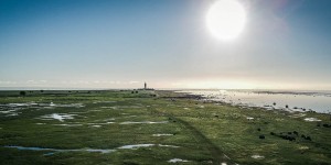 Beitragsbild des Blogbeitrags Mehr als IKEA - Schweden
