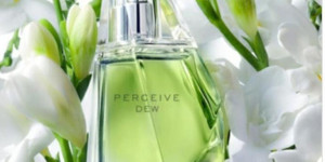 Beitragsbild des Blogbeitrags Avon Perceive Dew ein anziehender Duft 