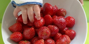 Beitragsbild des Blogbeitrags Beikost einführen mit Baby-led Weaning: (k)ein Löffel für den Papa