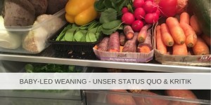 Beitragsbild des Blogbeitrags Baby-led Weaning – unser Status quo & kritische Gedanken