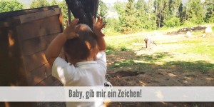 Beitragsbild des Blogbeitrags Babyzeichen – Unsere Erfahrungen 