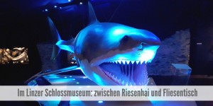 Beitragsbild des Blogbeitrags Im Schlossmuseum Linz – Zwischen Riesenhai und Fliesentisch