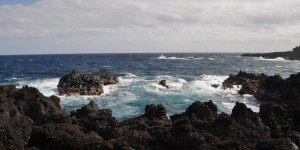 Beitragsbild des Blogbeitrags Zwischen Buckelwalen und Vulkanen – Hawaii Report 