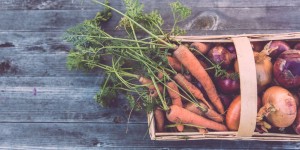 Beitragsbild des Blogbeitrags 40 Tage fleischlos