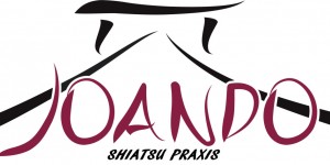 Beitragsbild des Blogbeitrags SHIATSU Partnerworkshop