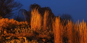 Beitragsbild des Blogbeitrags …… und nächstes Jahr wird alles anders.