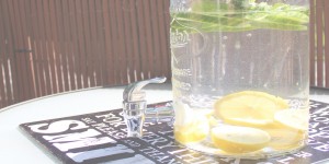 Beitragsbild des Blogbeitrags five weeks of august // 2 // infused water