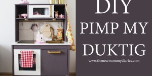 Beitragsbild des Blogbeitrags DIY | Pimp My DUKTIG
