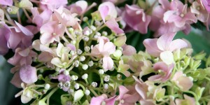 Beitragsbild des Blogbeitrags Ich gehe aufs Kinderklo | Mamadasein