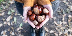 Beitragsbild des Blogbeitrags Herbst/Winter | Was tun, wenn man nichts tun kann