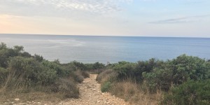 Beitragsbild des Blogbeitrags Auf die Plätze, fertig,…