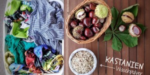 Beitragsbild des Blogbeitrags Wie du mit Kastanien Sportkleidung waschen kannst