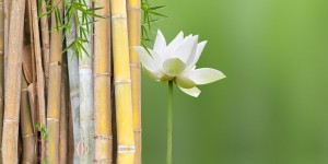 Beitragsbild des Blogbeitrags Energetische Reinigung 