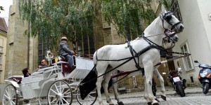 Beitragsbild des Blogbeitrags 1. Wiener Stadtspaziergang - Durchhäuser im Schottenviertel