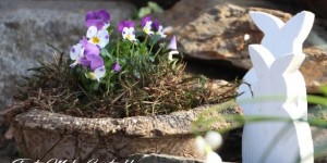 Beitragsbild des Blogbeitrags Slow down ... denkt sich mein Garten