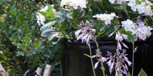 Beitragsbild des Blogbeitrags Portable Garden - Pflanzgefäße aus Blechtonnen DIY 