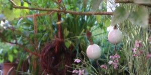 Beitragsbild des Blogbeitrags Problemzonen-Behandlung .... im Garten! 