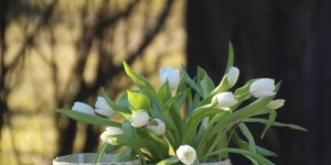 Beitragsbild des Blogbeitrags Von Gartenmöbeln und Pflanzensäcken aus Lehrtafeln DIY