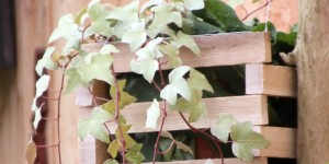 Beitragsbild des Blogbeitrags Vertikaler Garten - Hängekisten DIY 