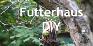 Beitragsbild des Blogbeitrags Einfaches Futterhaus DIY und Gewinnerinnen 