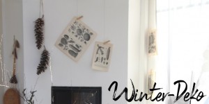Beitragsbild des Blogbeitrags Winterdekoration aus dem Garten 