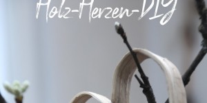Beitragsbild des Blogbeitrags Holz biegen - erste Versuche 