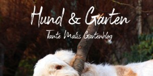 Beitragsbild des Blogbeitrags Gartenhund und eine Binkelhacke