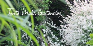 Beitragsbild des Blogbeitrags Ein Garten und 1.000 Handgriffe