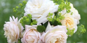 Beitragsbild des Blogbeitrags Rosen & Rhabarber-Nuss-Clafoutis & IKEA-Decken-Hack