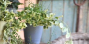 Beitragsbild des Blogbeitrags Welcome Summer