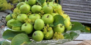 Beitragsbild des Blogbeitrags Sommerliche Dekoideen - einfach und schnell gemacht