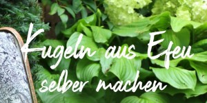 Beitragsbild des Blogbeitrags Runde Sache: Kugeln aus Efeuranken DIY