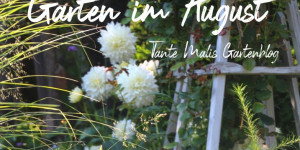 Beitragsbild des Blogbeitrags Spätsommer im Garten