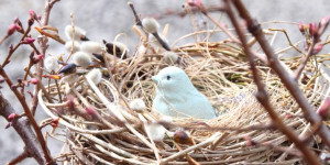 Beitragsbild des Blogbeitrags Ein Nest, zwei Kränze, eine Blumentorte und ein Frühjahr, das nicht kommt 