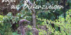 Beitragsbild des Blogbeitrags Vögel aus Birkenzweigen DIY