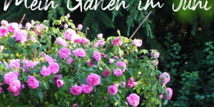 Beitragsbild des Blogbeitrags Ein Garten für Faulenzer und ein Sommerkranz DIY