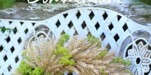 Beitragsbild des Blogbeitrags Sommerkranz und Kirschbalsamico