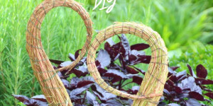 Beitragsbild des Blogbeitrags Pflanzstab aus Weide DIY