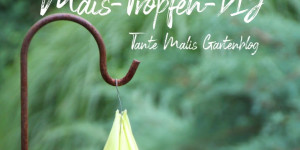 Beitragsbild des Blogbeitrags Ein Tropfen aus Maisblättern DIY