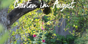 Beitragsbild des Blogbeitrags Sommergarten und Frühjahrsplanung 