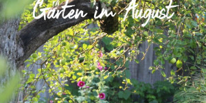 Beitragsbild des Blogbeitrags Sommergarten und Frühjahrsplanung