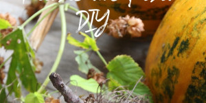 Beitragsbild des Blogbeitrags Nicht ohne meinen Kürbis ... Ranken-Kürbis-DIY