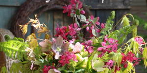 Beitragsbild des Blogbeitrags Magischer April