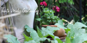 Beitragsbild des Blogbeitrags Grün, grüner, am grünsten ... und dazwischen blüht uns was